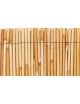 Bambu chino
