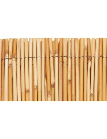 Bambu chino